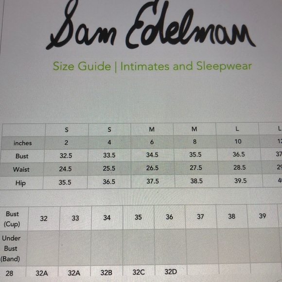 Sam Edelman Bodysuit 🐞 - Picture 2 of 3